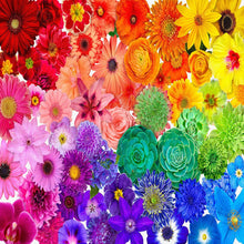 Load image into Gallery viewer, Diamond Painting - Full Round - Flowers (60*40CM)
