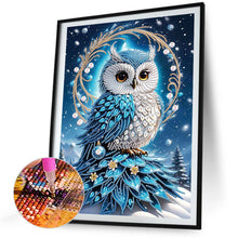 Load image into Gallery viewer, Diamond Painting - Partial Special Shaped - Owl (30*40CM)
