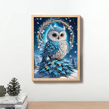 Load image into Gallery viewer, Diamond Painting - Partial Special Shaped - Owl (30*40CM)
