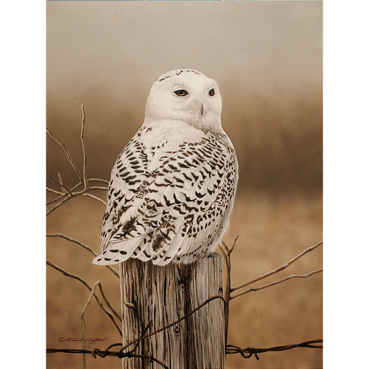 Diamond Painting - Full Round - Owl (30*40CM)