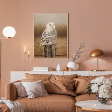 Load image into Gallery viewer, Diamond Painting - Full Round - Owl (30*40CM)
