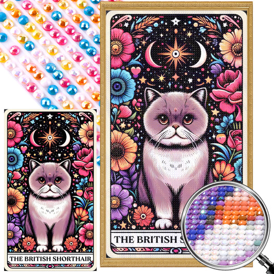 AB Diamond Painting - Full Round - British Shorthair Cat (40*70CM)