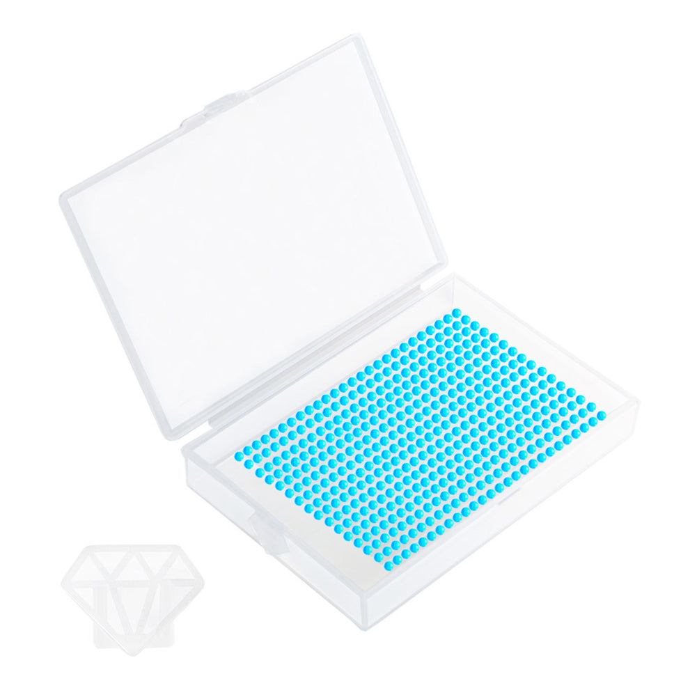 5D DIY Drills Plate with Lid Diamond Organizer Box for Art Crafts (Clear)