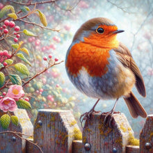 Load image into Gallery viewer, Diamond Painting - Full Round - Robin (40*40CM)
