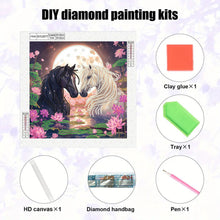 Load image into Gallery viewer, Diamond Painting - Partial Special Shaped - Black Horse And White Horse (30*30CM)
