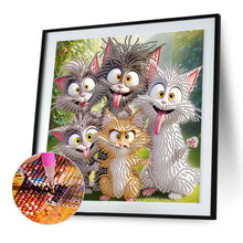 Load image into Gallery viewer, Diamond Painting - Partial Special Shaped - Funny Cat (30*30CM)

