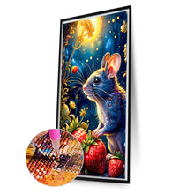 Load image into Gallery viewer, AB Diamond Painting - Full Round - Moon Mouse (40*70CM)
