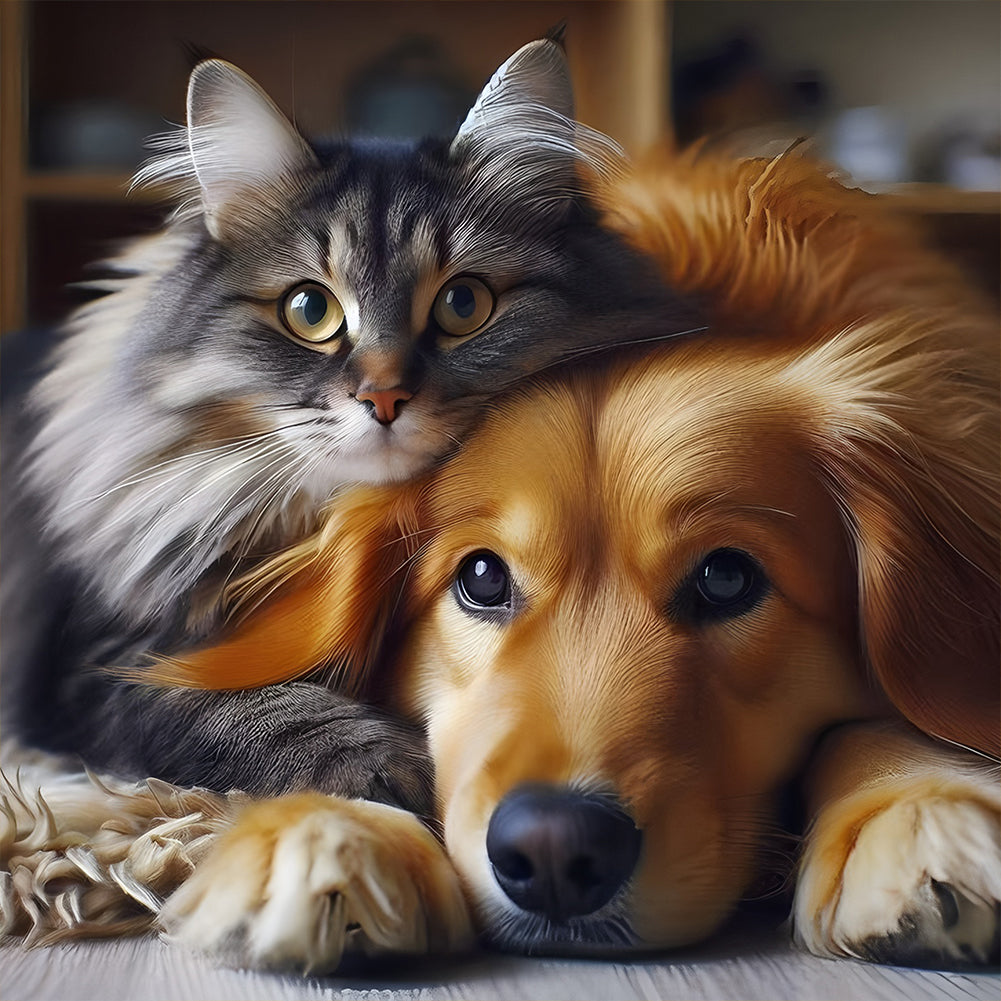 Diamond Painting - Full Round - Cat And Puppy (37*37CM)