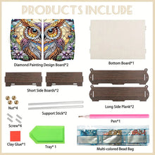 Load image into Gallery viewer, Diamond Painting Storage Box DIY 5D Diamond Painting Jewelry Box (Owl B)
