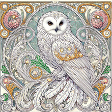 Load image into Gallery viewer, Diamond Painting - Partial Special Shaped - Owl (30*30CM)

