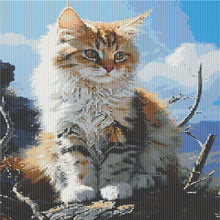 Load image into Gallery viewer, Diamond Painting - Full Round - Cat (40*50CM)
