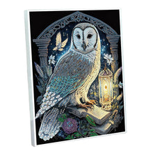 Load image into Gallery viewer, DIY Diamond Painting Notebook 50 Pages A5 Diamond Art Diary Book (Owl)
