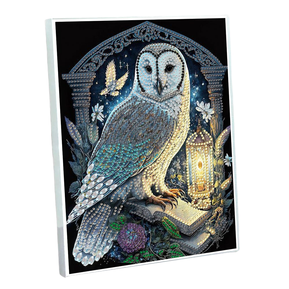 DIY Diamond Painting Notebook 50 Pages A5 Diamond Art Diary Book (Owl)