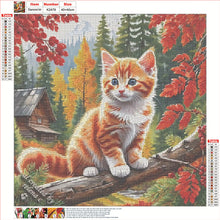 Load image into Gallery viewer, Diamond Painting - Full Round - Autumn Cat (40*40CM)
