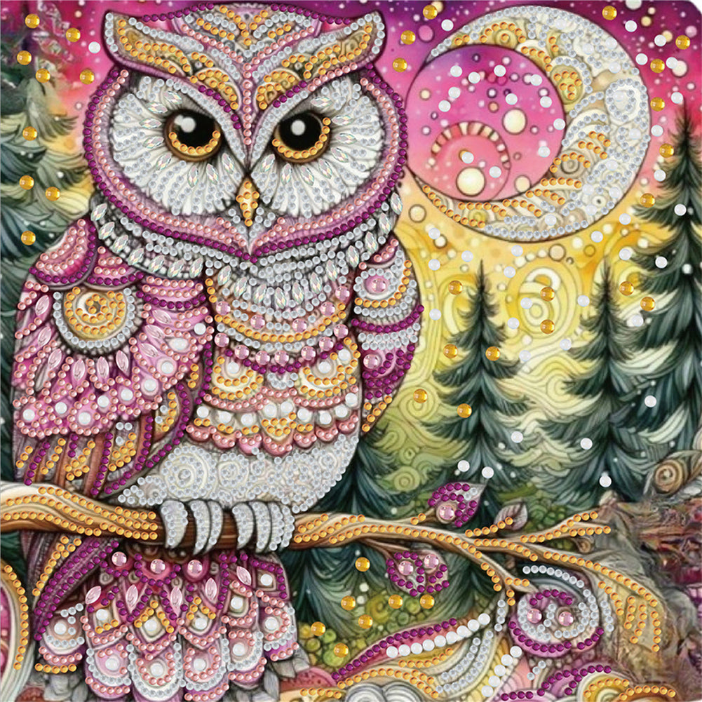 Diamond Painting - Partial Special Shaped - Owl (30*30CM)