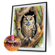 Load image into Gallery viewer, Diamond Painting - Full Round - Owl (40*40CM)
