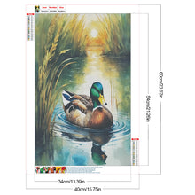 Load image into Gallery viewer, Diamond Painting - Full Round - Mallard (40*60CM)
