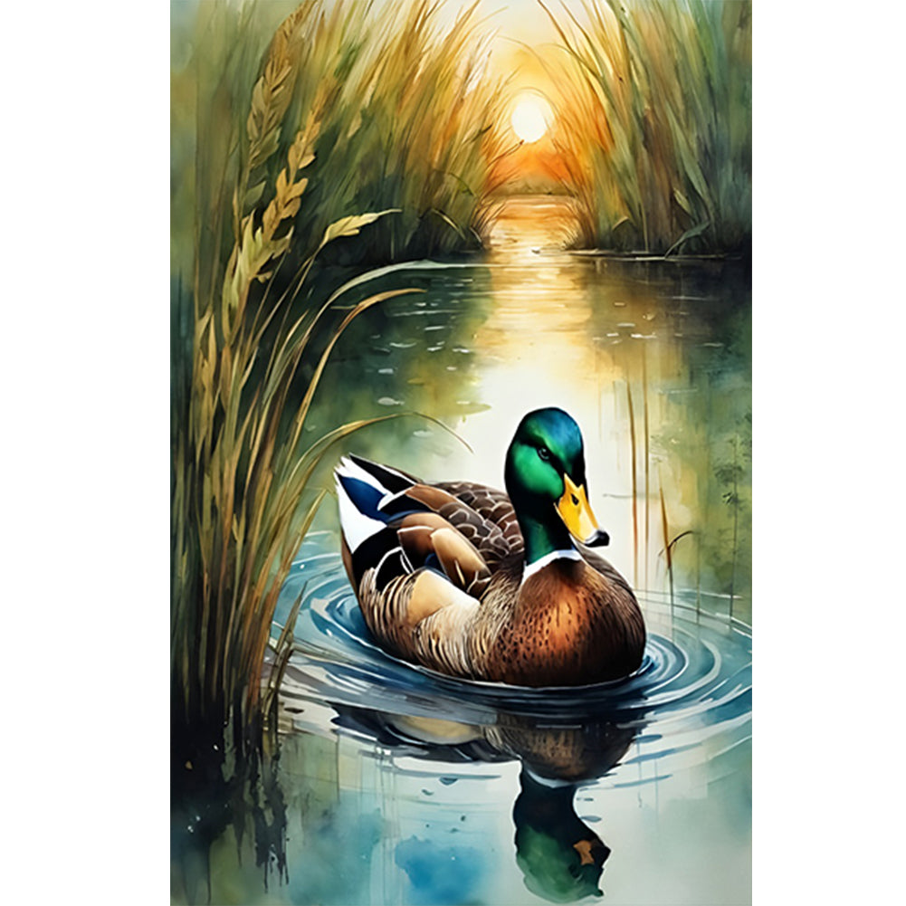 Diamond Painting - Full Round - Mallard (40*60CM)