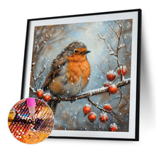 Load image into Gallery viewer, Diamond Painting - Full Round - Robin (30*30CM)
