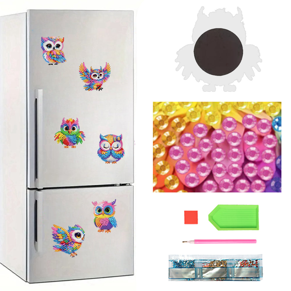 6Pcs Acrylic 2D Flat Owls Diamond Painting Fridge Magnet for Fridge Whiteboard