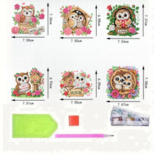 Load image into Gallery viewer, 6Pcs Acrylic 2D Flat Owls Diamond Painting Fridge Magnet for Fridge Whiteboard
