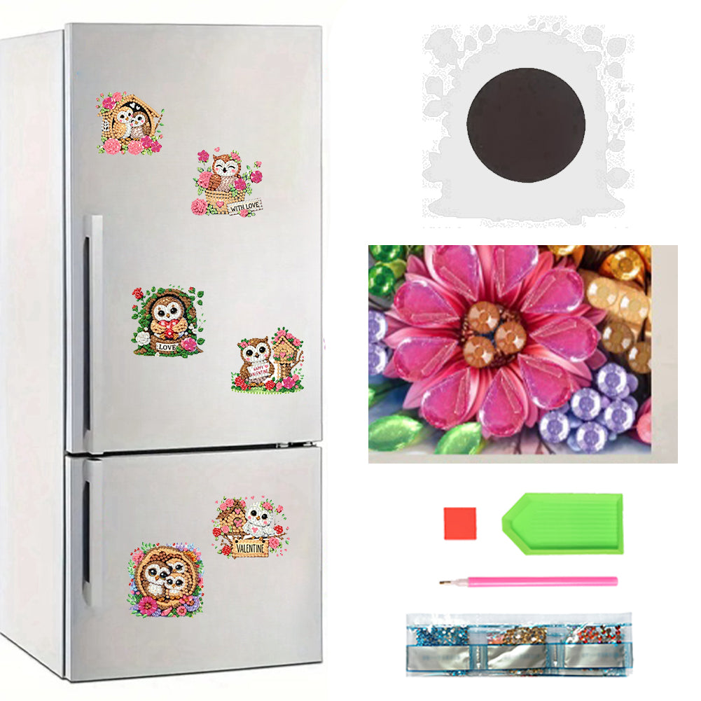 6Pcs Acrylic 2D Flat Owls Diamond Painting Fridge Magnet for Fridge Whiteboard