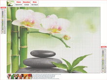 Load image into Gallery viewer, Diamond Painting - Full Round - Stone Phalaenopsis Zen (40*30CM)
