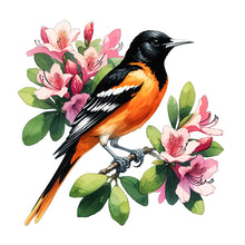 Load image into Gallery viewer, Diamond Painting - Full Round - Flowers And Birds (30*30CM)
