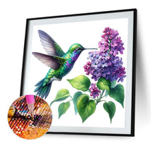 Load image into Gallery viewer, Diamond Painting - Full Round - Bird And Hydrangea (30*30CM)
