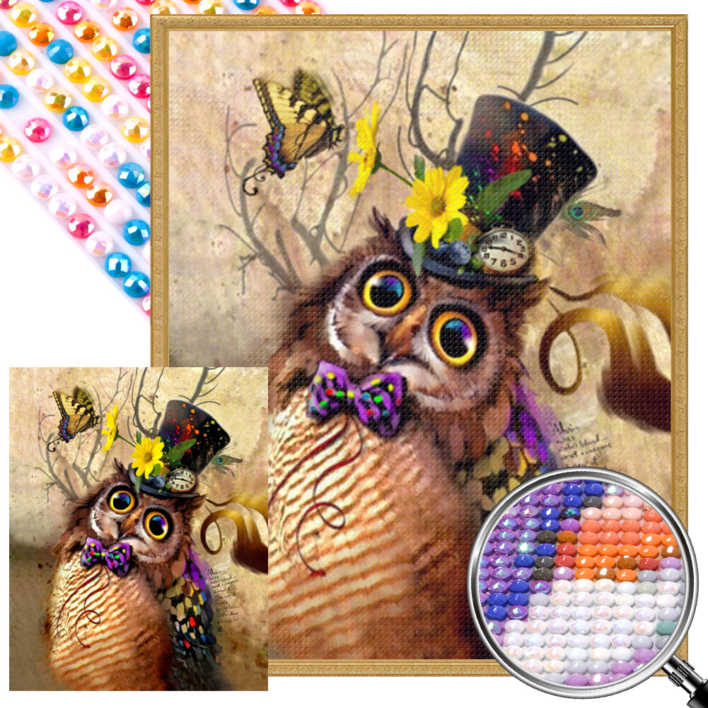 AB Diamond Painting - Full Round - Owl (40*50CM)