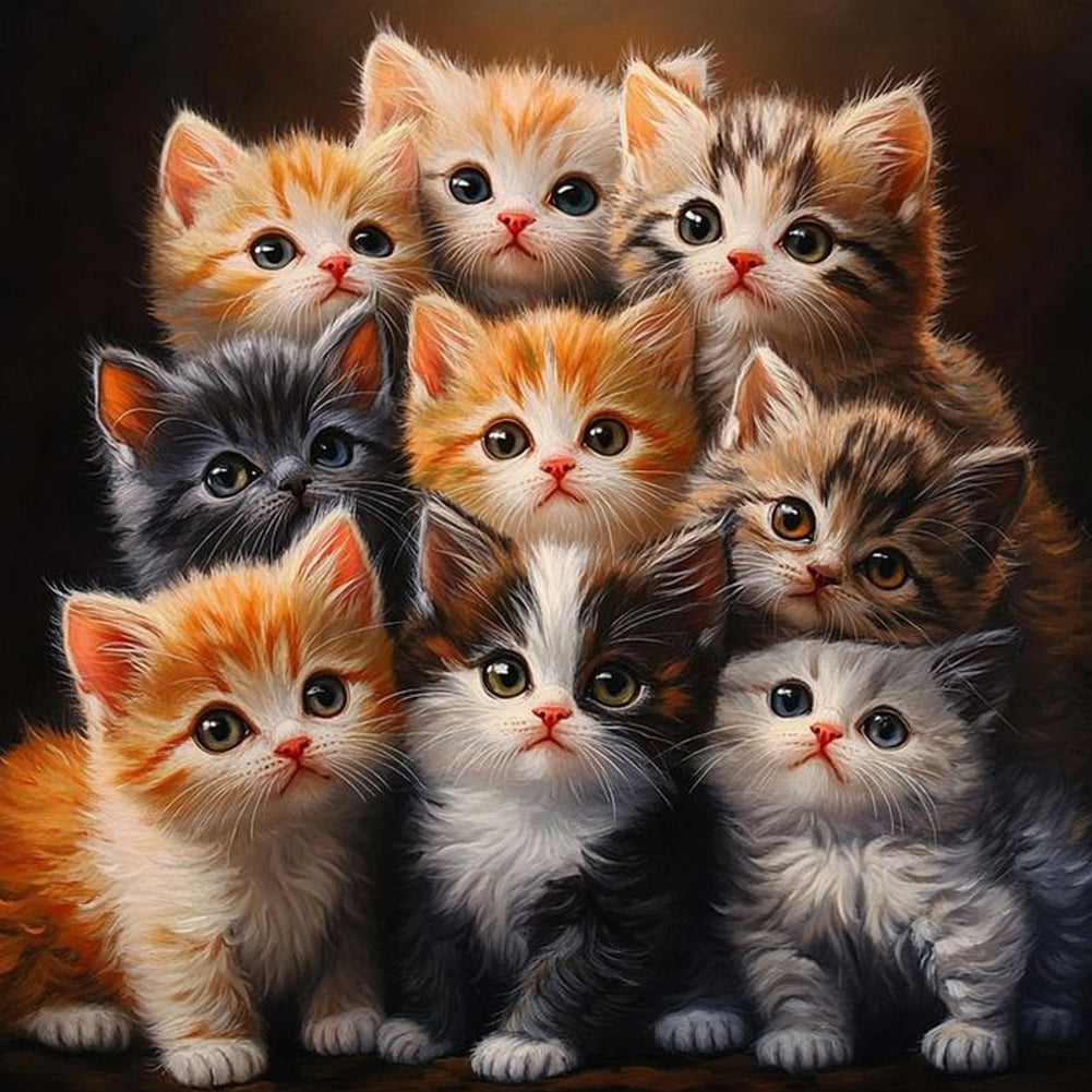 Diamond Painting - Full Round - Cat (40*40CM)