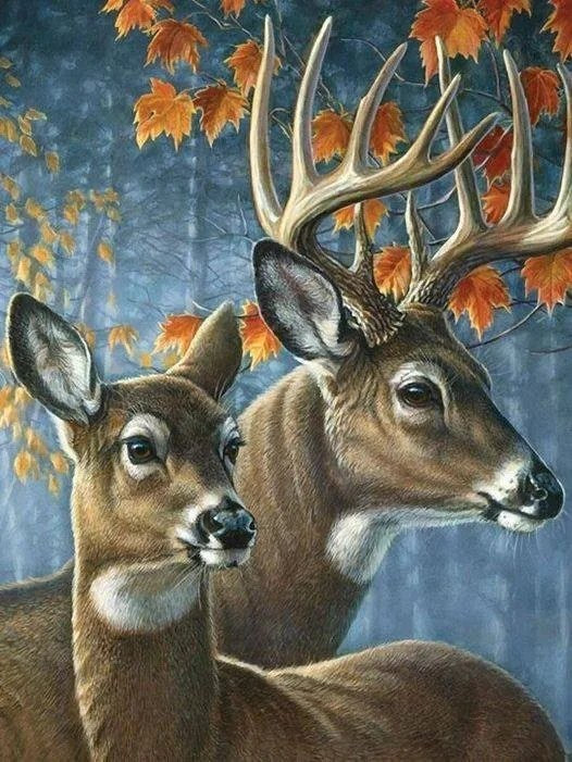 AB Diamond Painting - Full Round - Deer (40*55cm)
