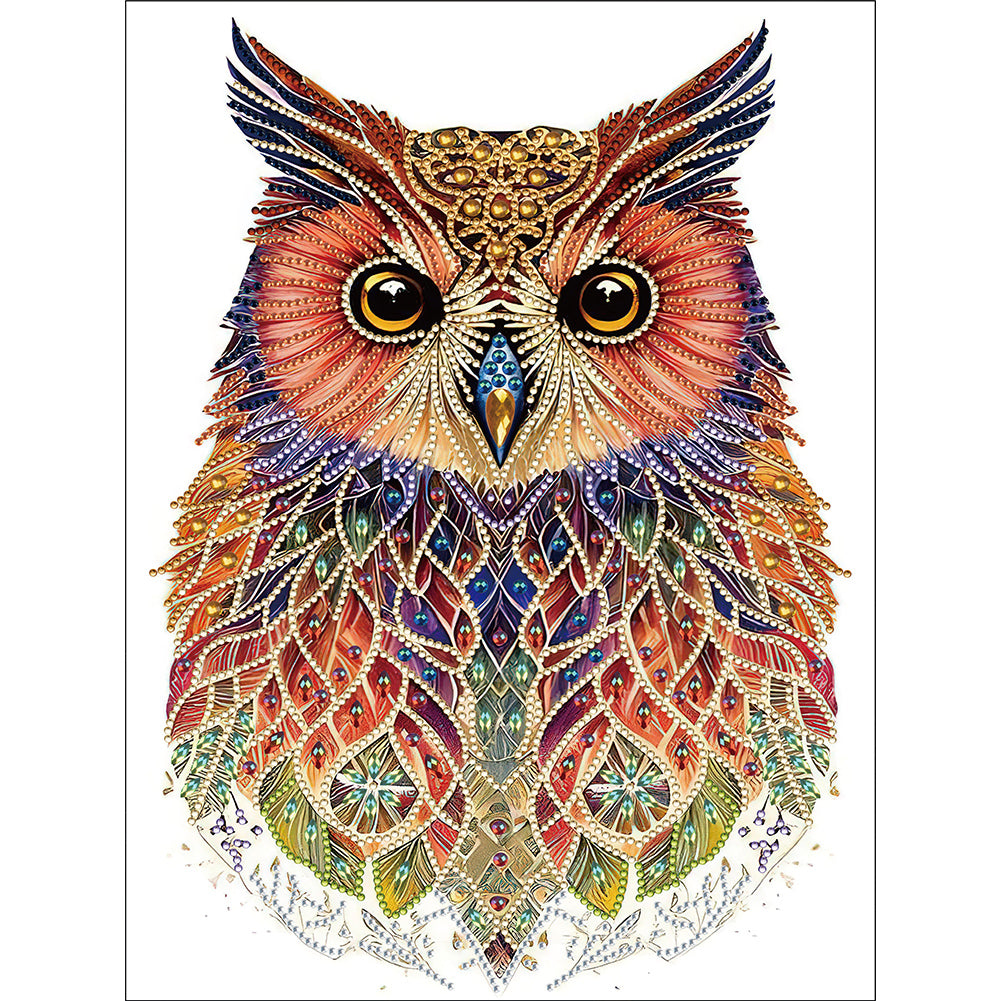 Diamond Painting - Partial Special Shaped - Ethnic style owl (30*40CM)