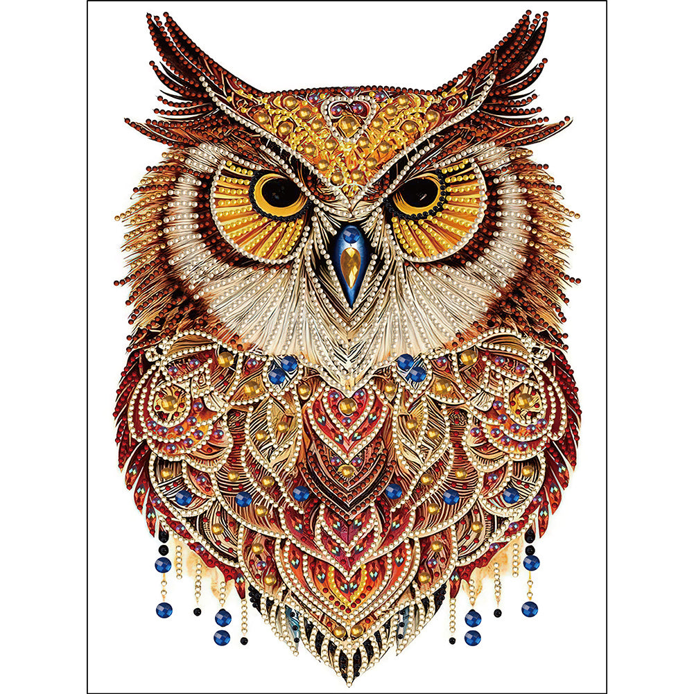 Diamond Painting - Partial Special Shaped - Ethnic style owl (30*40CM)