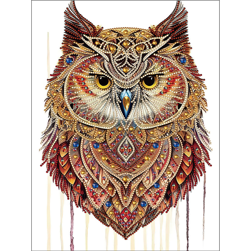 Diamond Painting - Partial Special Shaped - Ethnic style owl (30*40CM)