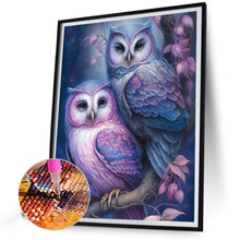 Load image into Gallery viewer, AB Diamond Painting - Full Round - tree owl (40*50CM)
