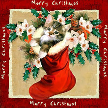 Load image into Gallery viewer, Diamond Painting - Full Round - christmas stocking cat (30*30CM)
