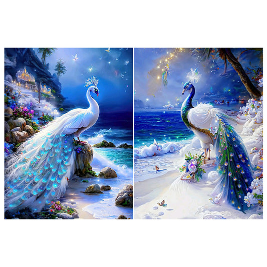 2pcs Diamond Painting Set - gorgeous peacock (30*40CM)
