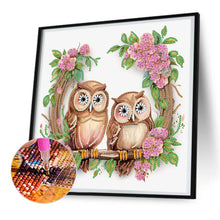 Load image into Gallery viewer, Diamond Painting - Partial Special Shaped - owl (30*30CM)
