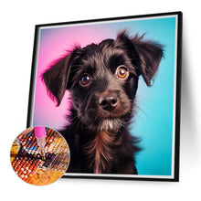 Load image into Gallery viewer, Diamond Painting - Full Round - pet puppy (40*40CM)
