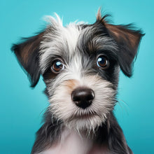 Load image into Gallery viewer, Diamond Painting - Full Round - pet puppy (40*40CM)
