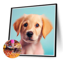 Load image into Gallery viewer, Diamond Painting - Full Round - pet puppy (40*40CM)
