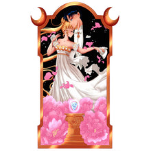 Load image into Gallery viewer, 2pcs Diamond Painting Set - Sailor Moon (30*50CM)
