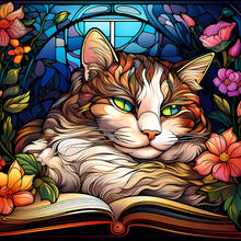 Load image into Gallery viewer, 4pcs Diamond Painting Set - Reading Cat Glass Painting (30*30CM)
