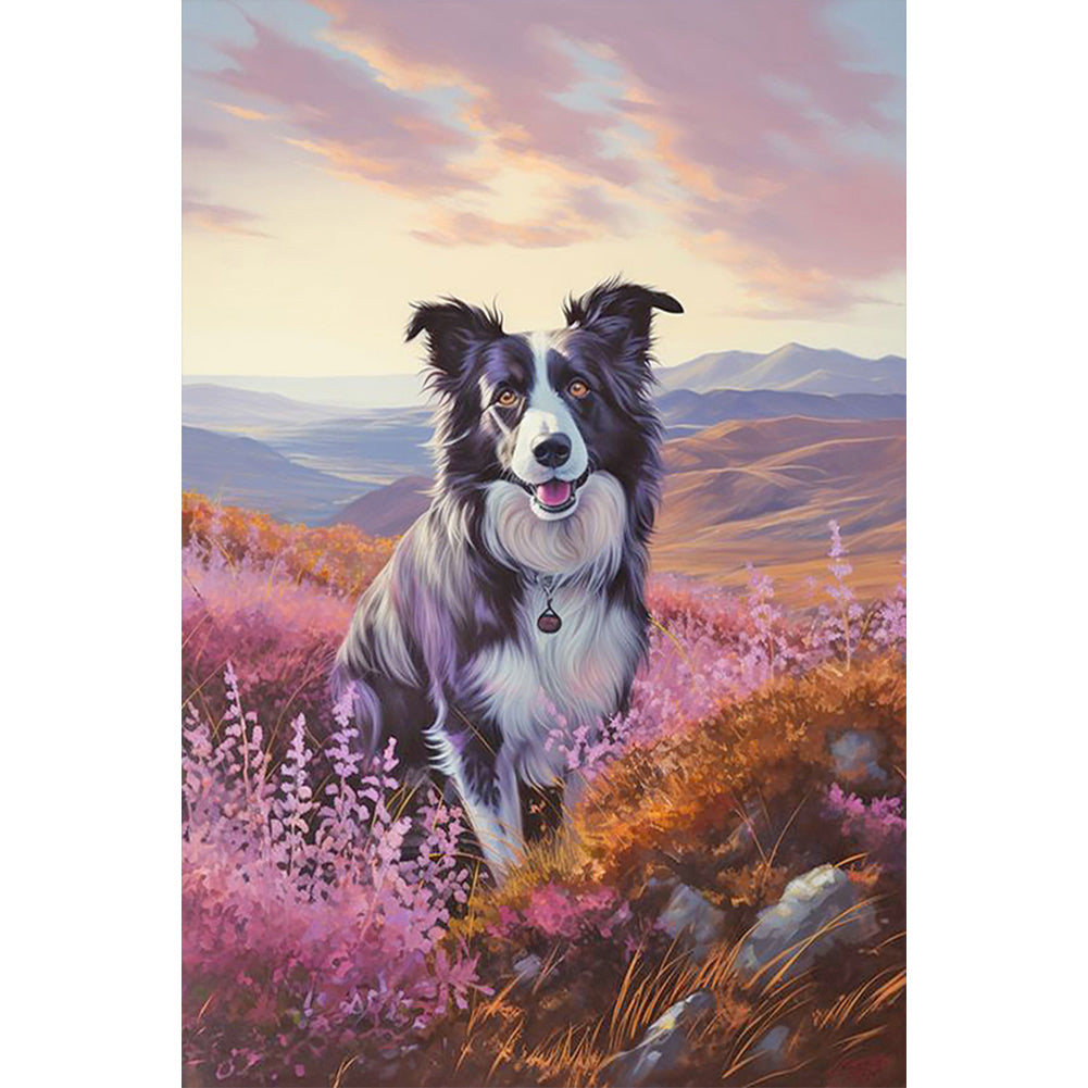 Diamond Painting - Full Round - Border Collie (40*60CM)