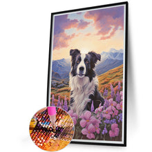 Load image into Gallery viewer, Diamond Painting - Full Round - Border Collie (40*60CM)
