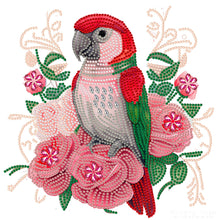 Load image into Gallery viewer, 4pcs Diamond Painting Set - parrot and owl (30*30CM)
