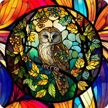 Load image into Gallery viewer, 4pcs Diamond Painting Set - owl glass painting (30*30CM)
