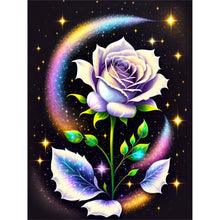 Load image into Gallery viewer, 2pcs Diamond Painting Set - glitter rose (30*40CM)
