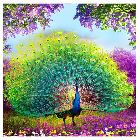 Peacock 35*35CM(Canvas) Square Drill Diamond Painting